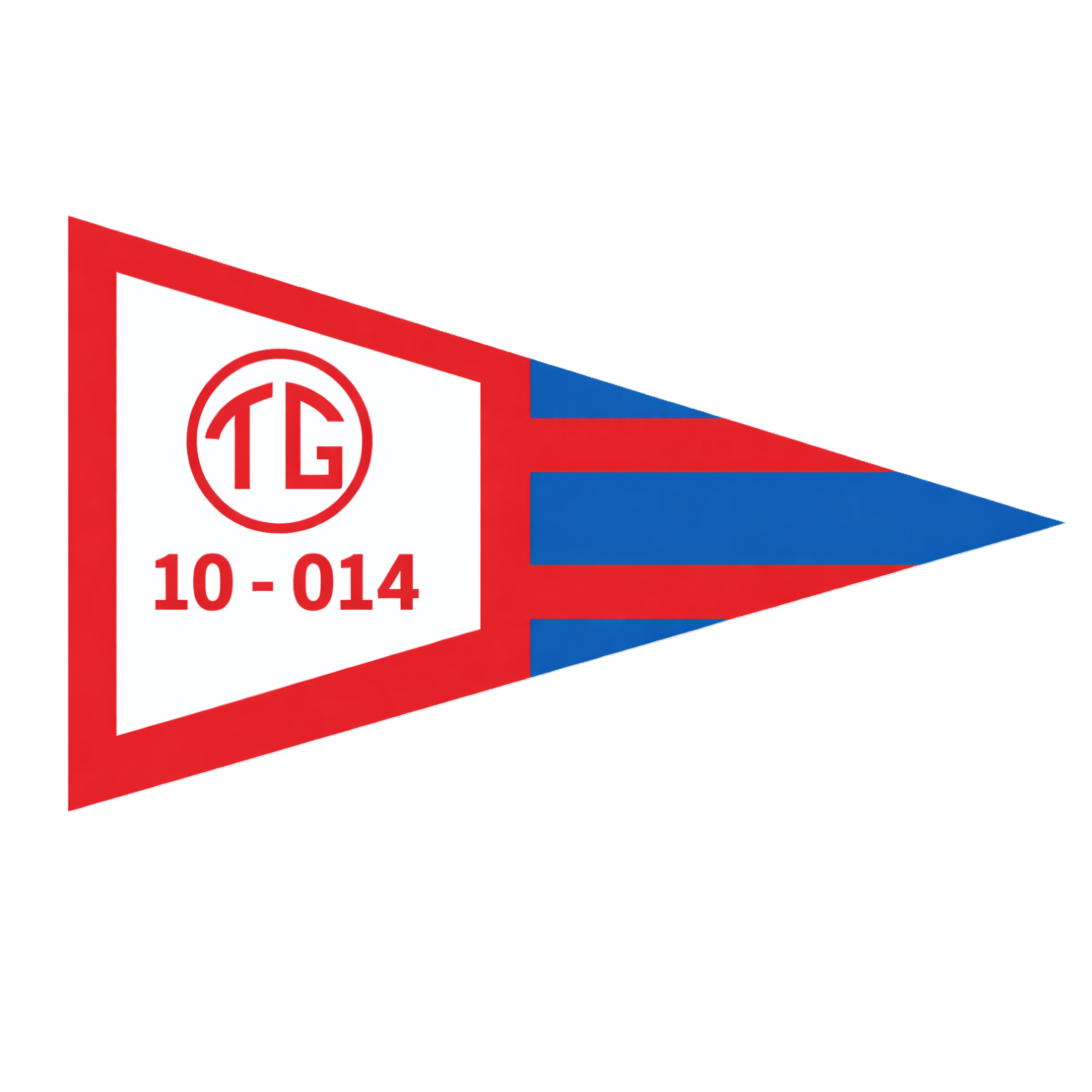 Bandeira TG